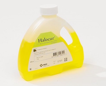 halocur hanger