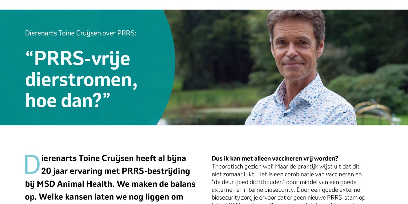 toine cruijsen infokatern zonder branding