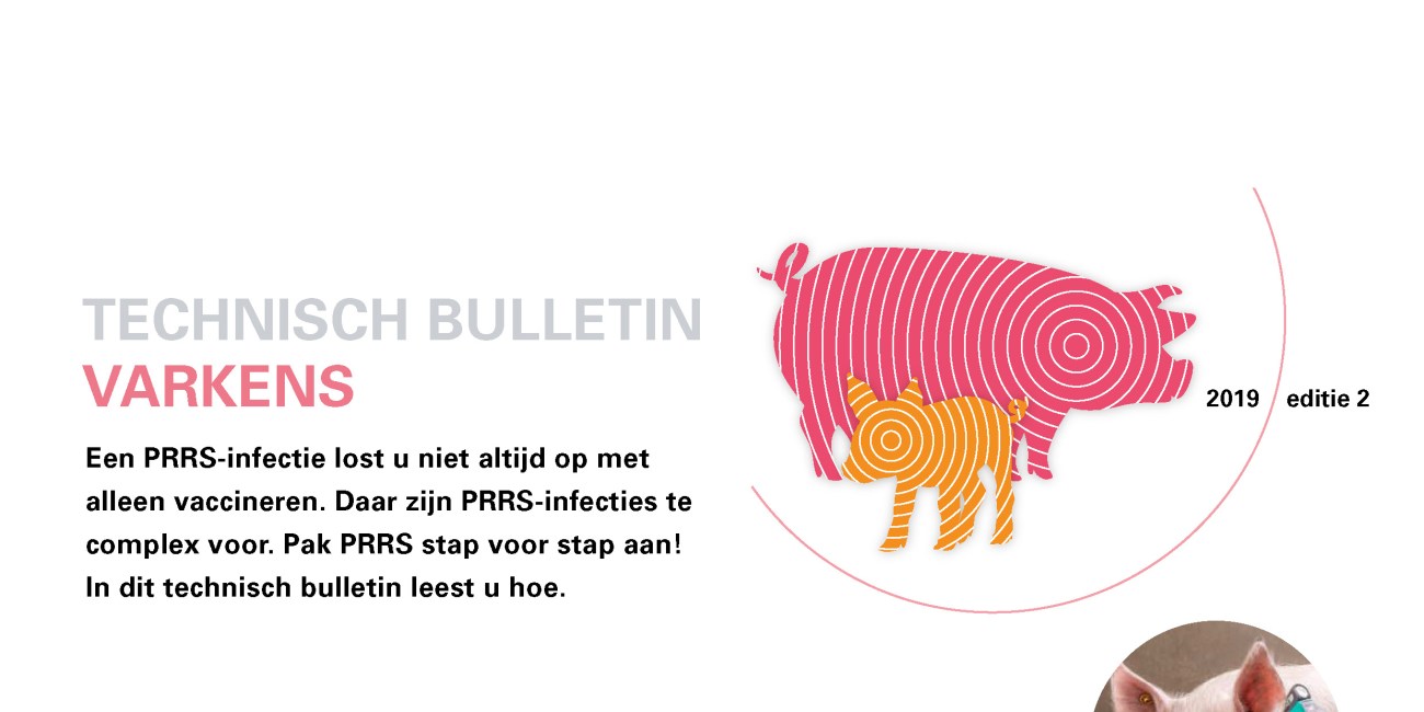 Artikel - PRRS - Technisch bulletin varkens