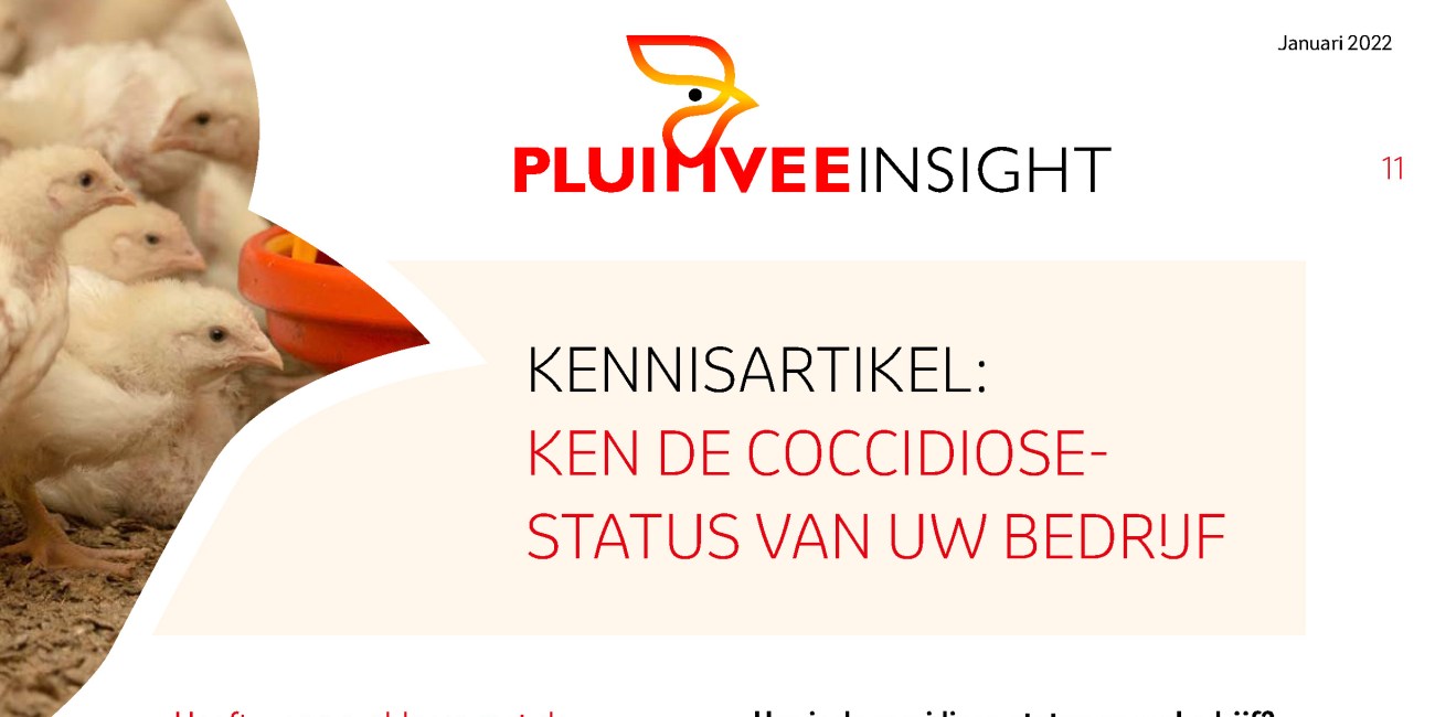 Pluimvee Insight - Ken de coccidiose status van uw bedrijf