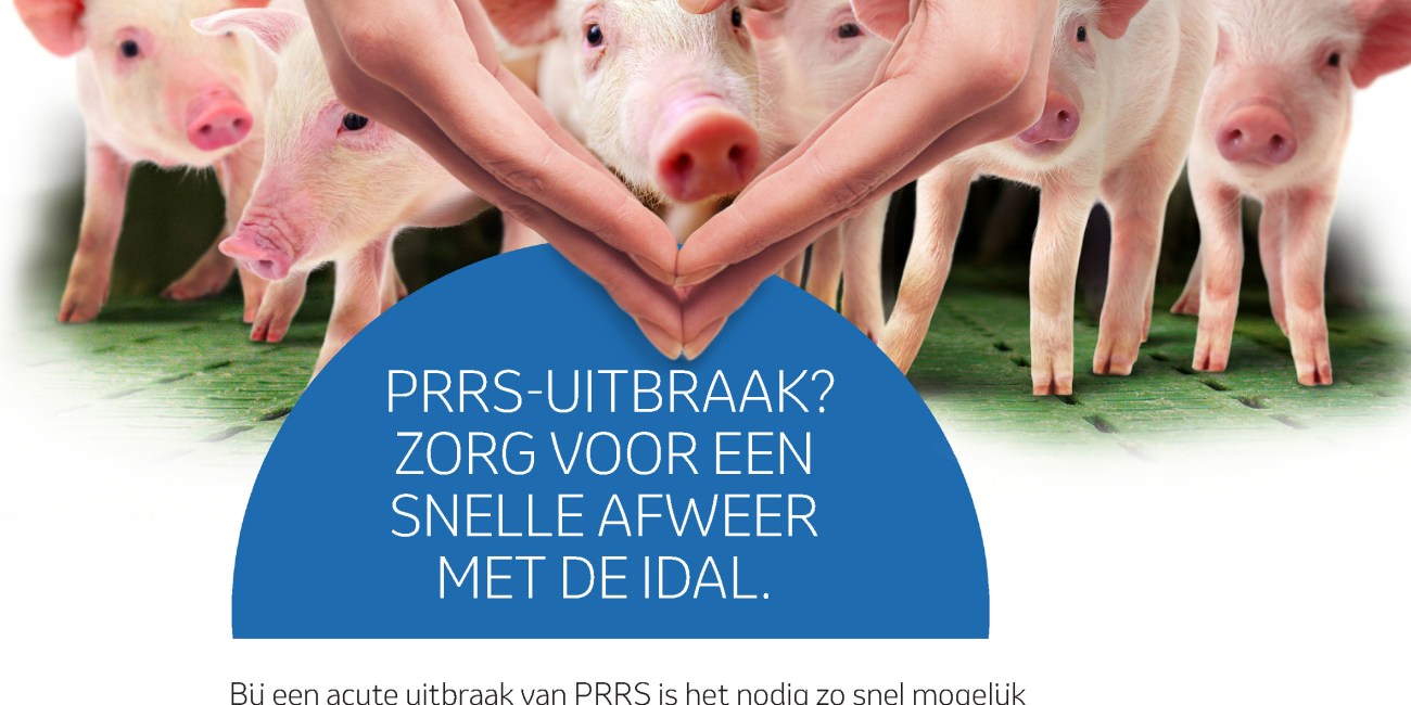 Factsheet - PRRS-uitbraak