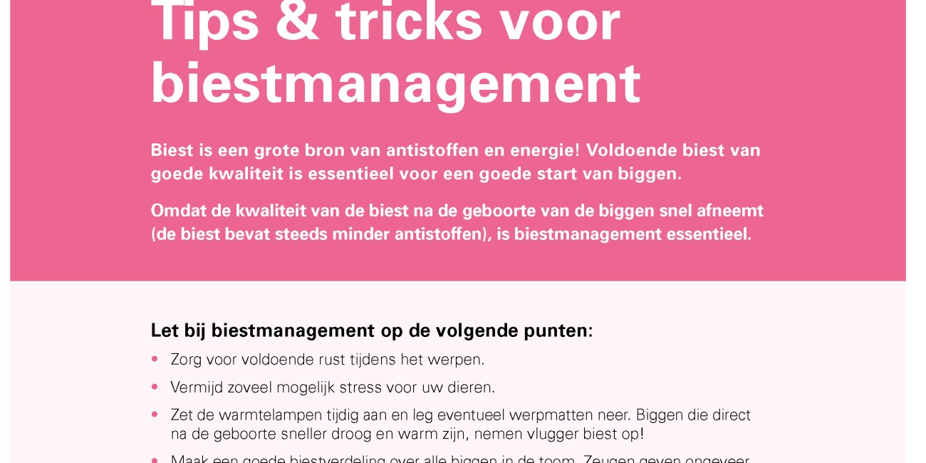 msd tips biestmanagement biggen