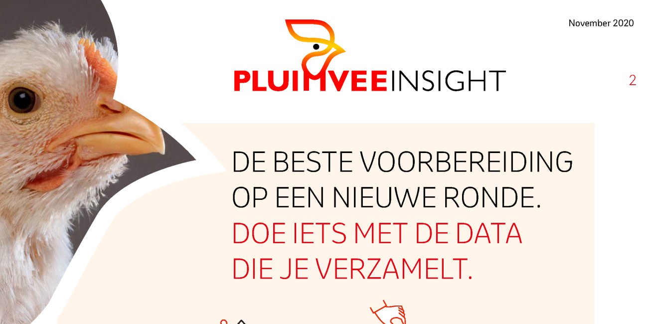 Pluimvee Insight - Doe iets met uw data die u verzamelt