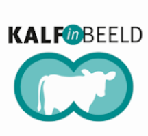 Download Kalf in Beeld app android