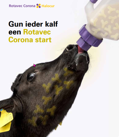 Brochure Rotavec