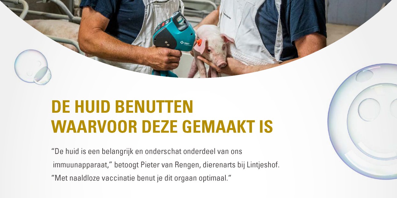 Testimonial IDAL Pieter van Rengen Dierenarts Lintjeshof