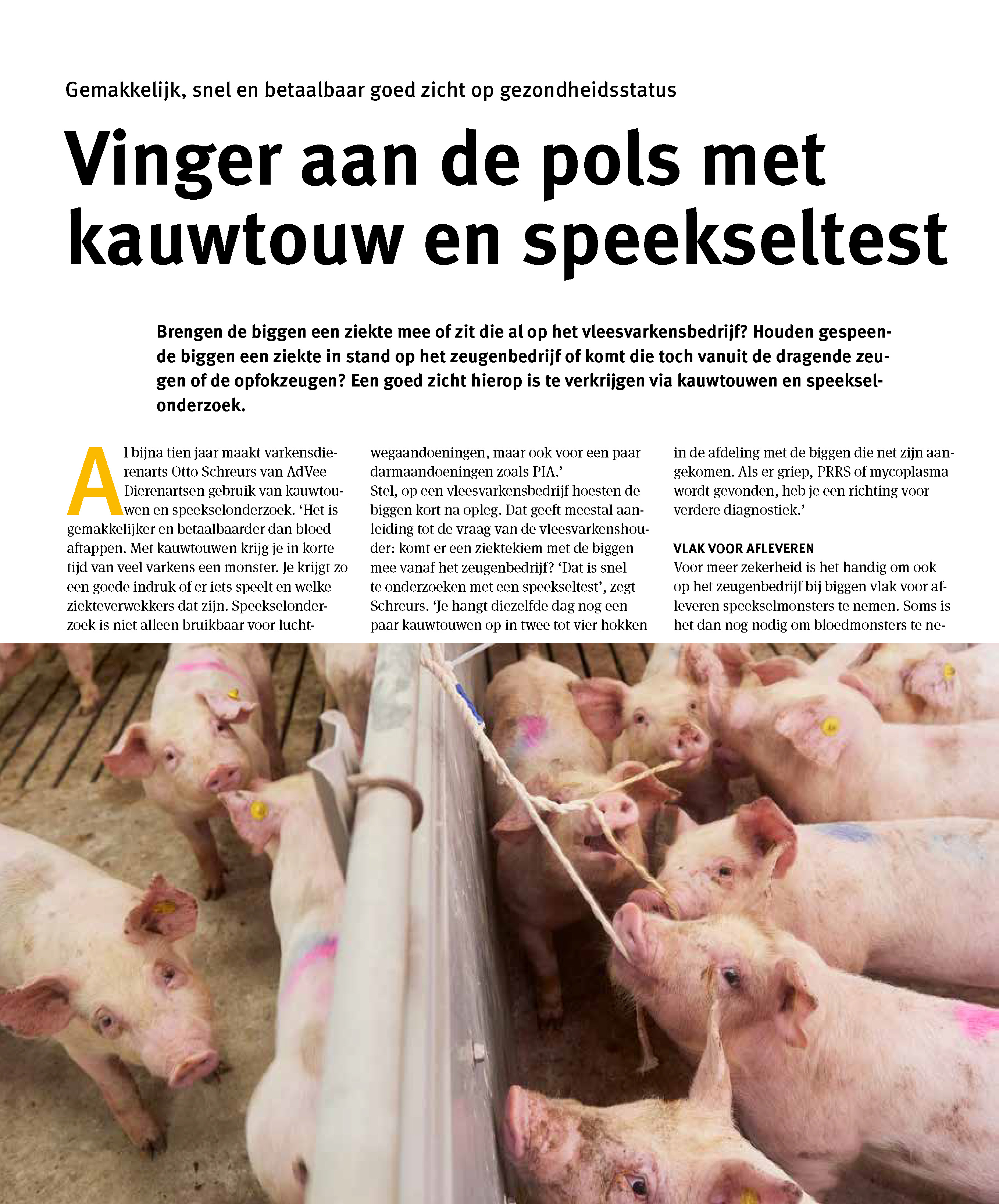 Reportage speekseltest - PIA preventie