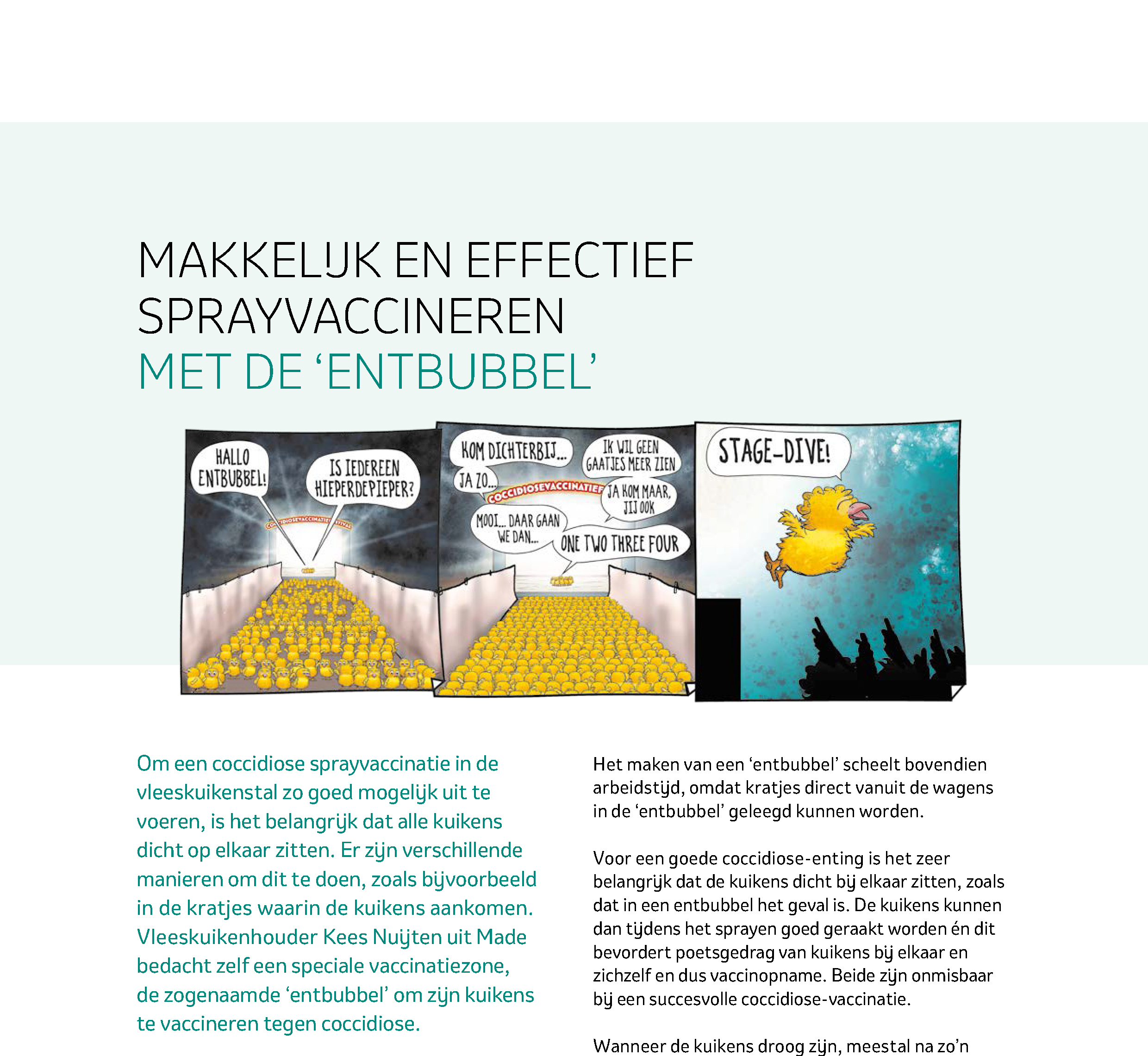 MSD Coccidiose factsheet entbubbel