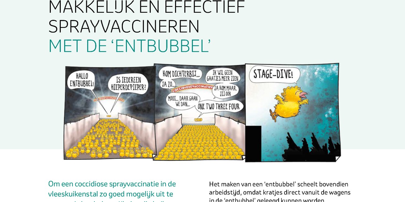 MSD Coccidiose factsheet entbubbel