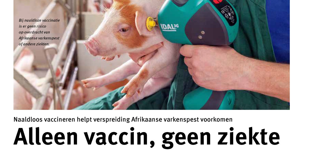 Artikel varkenspest